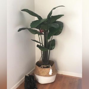 Foldable Basket with tassle